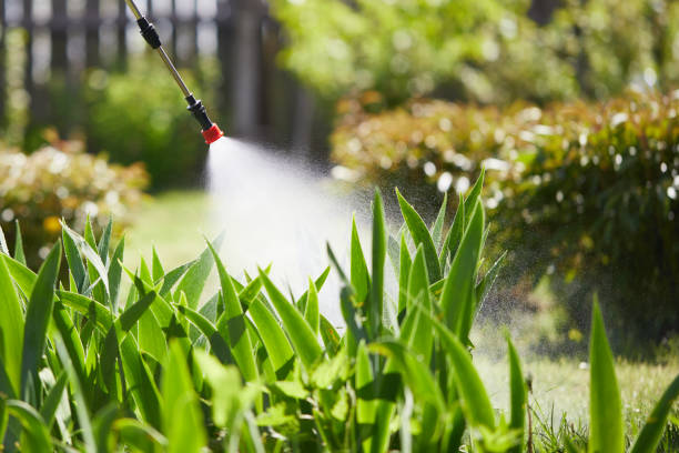 24/7 Emergency Cockroach Control experts in North Vernon, IN