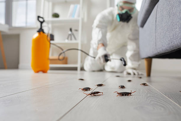 Trusted Termite Control service in North Vernon, IN - Nex Pest Control