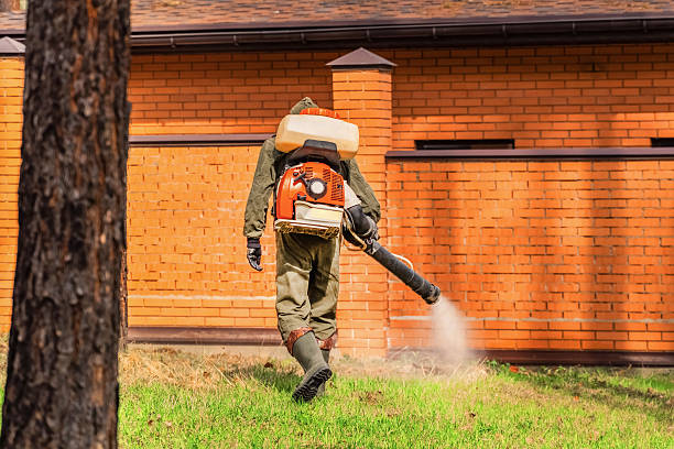 Trusted Emergency Pest Control service in North Vernon, IN - Nex Pest Control